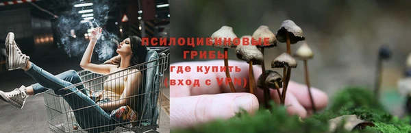 спайс Няндома