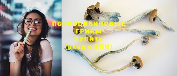 каннабис Новозыбков