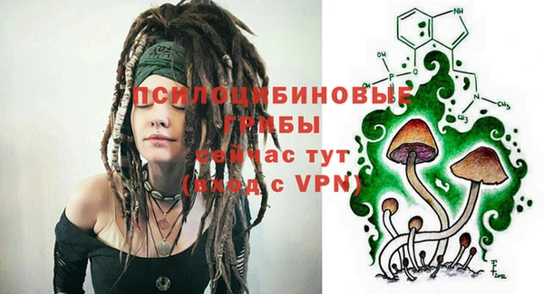 apvp Новодвинск