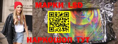 дмт Будённовск