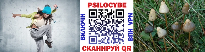 Псилоцибиновые грибы мухоморы наркотики Кизляр