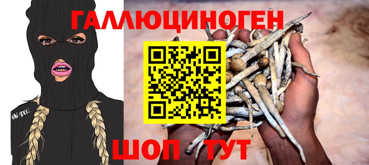 Галлюциногенные грибы Magic Shrooms  Вход с VPN  Кизляр  купить наркотики сайты  Псилоцибиновые грибы Magic Shrooms 