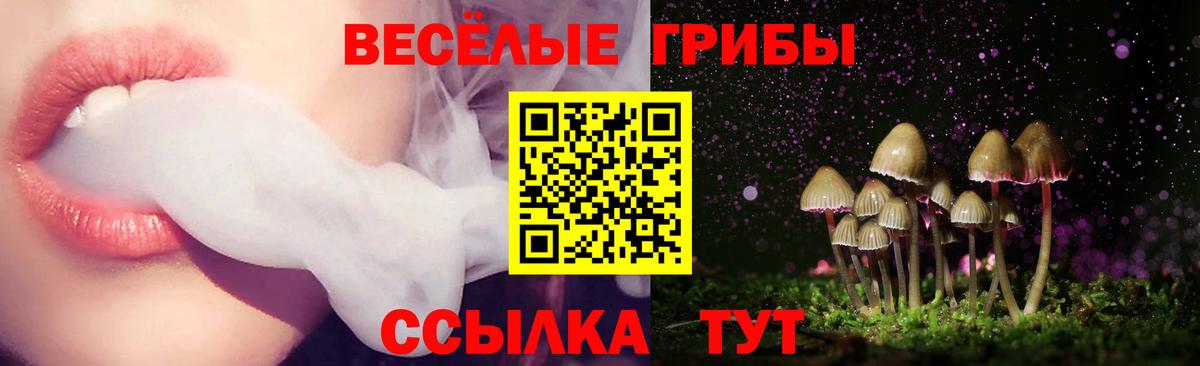 Галлюциногенные грибы Psilocybe Кизляр