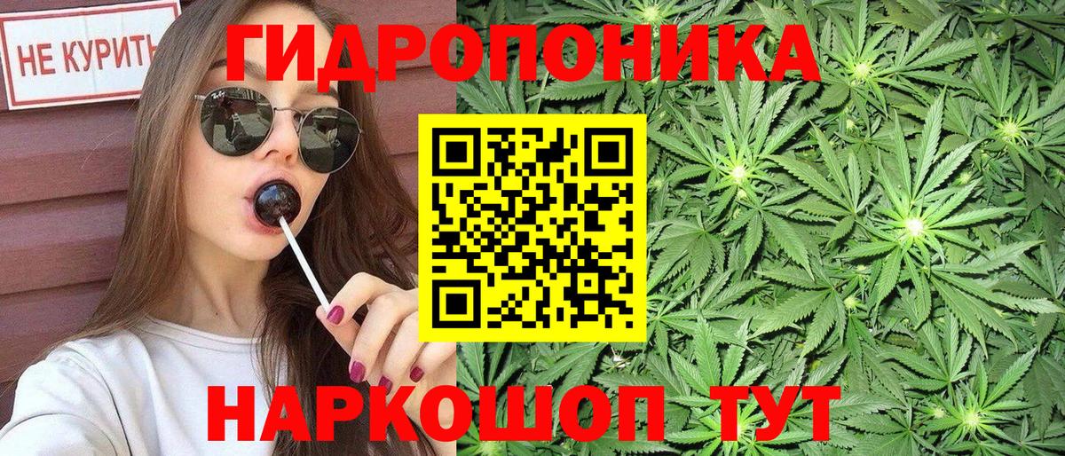 Конопля AK-47  Шишки марихуана план  Бошки Шишки семена  Вход с VPN  Кизляр  Марихуана SATIVA & INDICA 